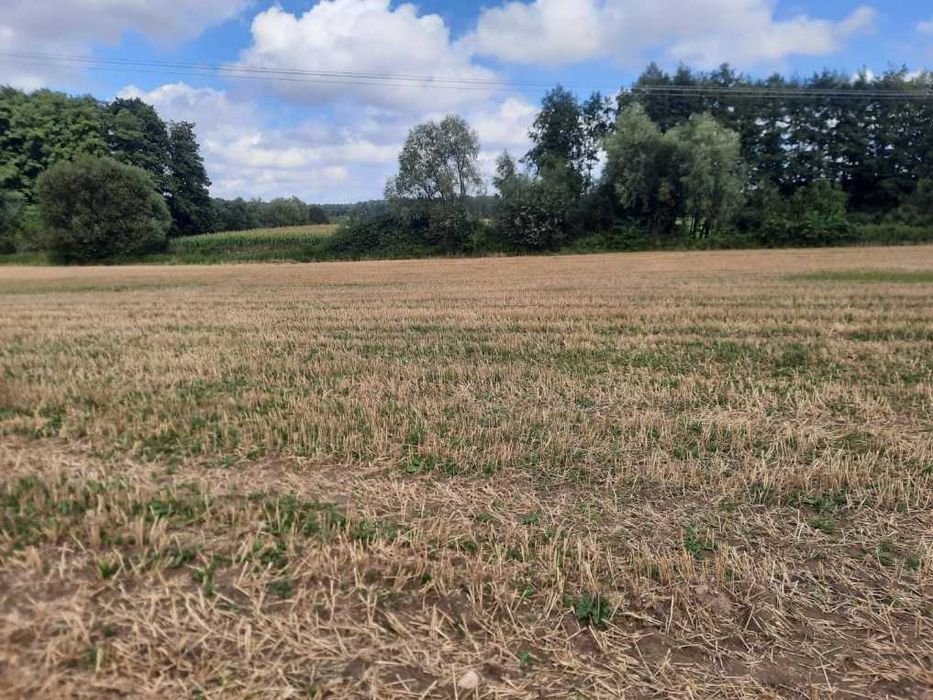 Działki budowlane Pęszyno