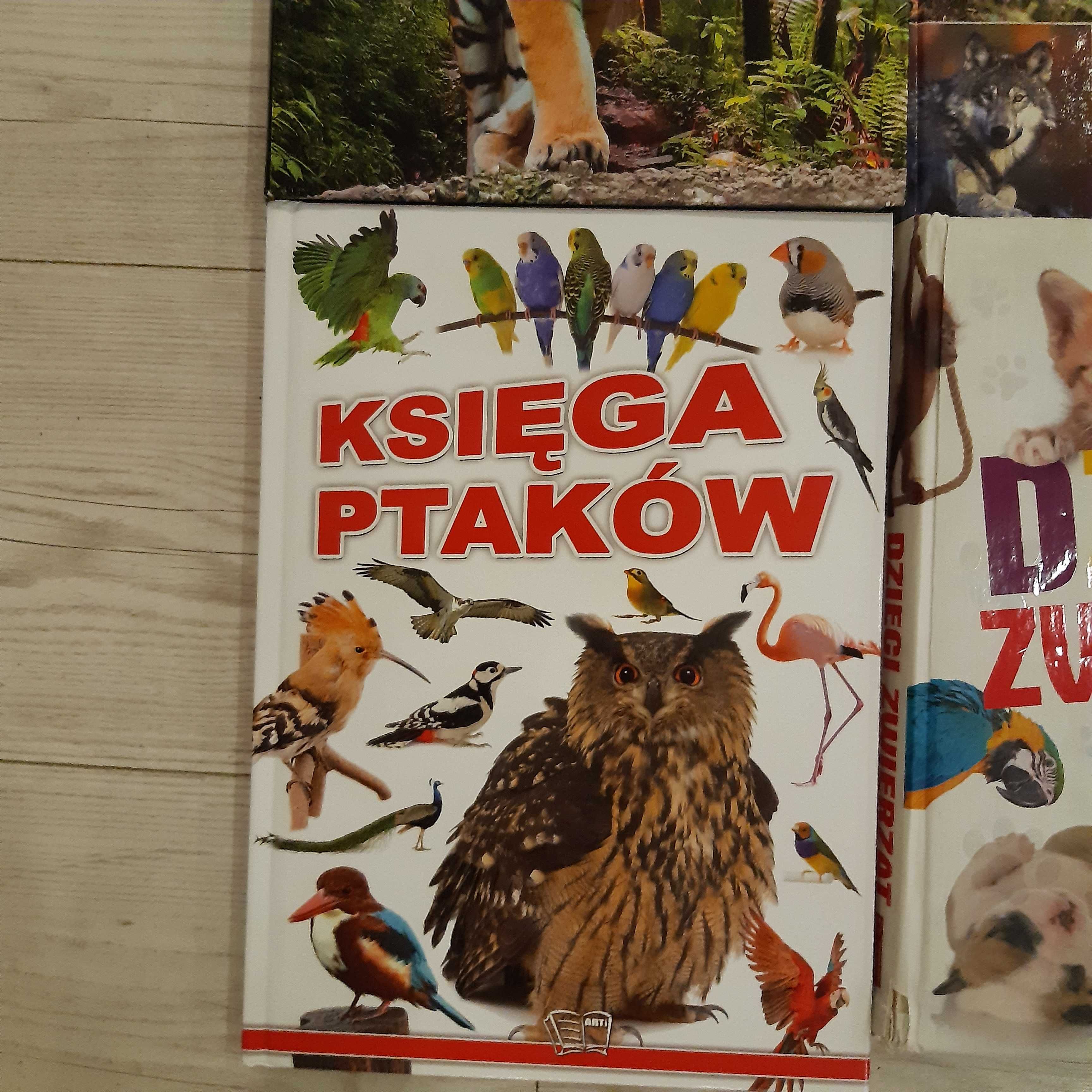 4 ksiazki album przewodnik świat zwierząt ptaków dzieci zwierząt