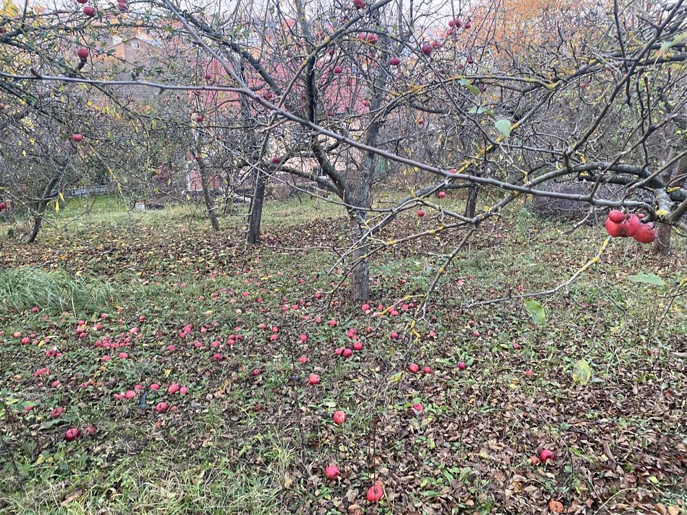 Продам ділянку мікрорайон Лезнево