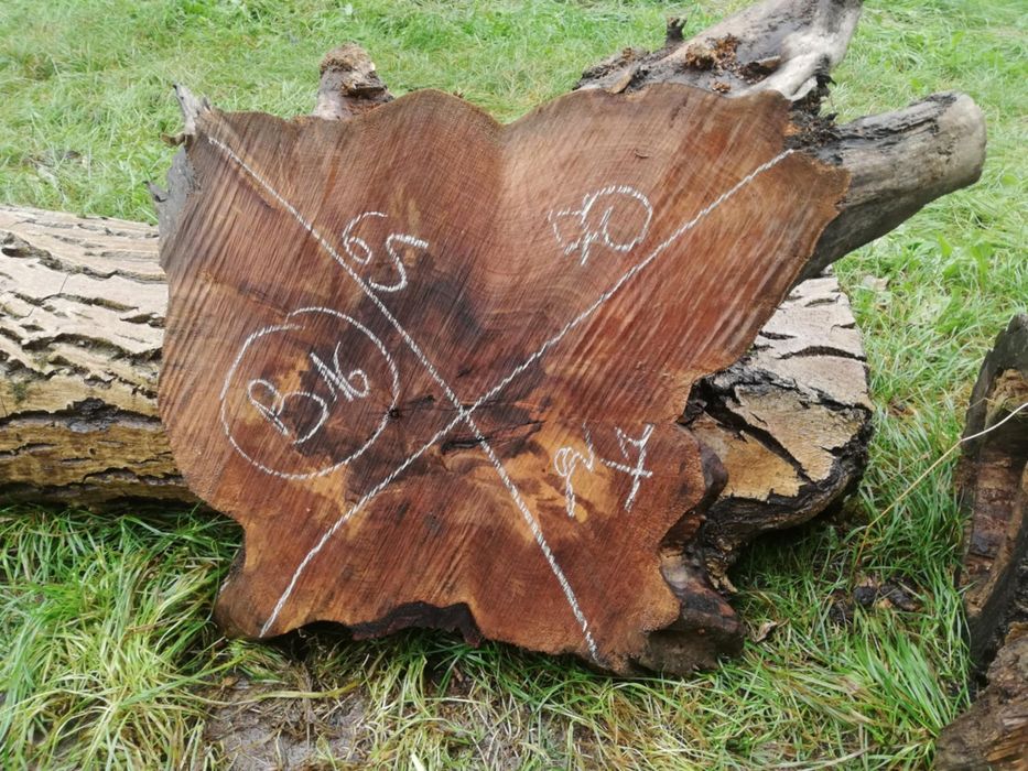 Plastry orzech włoski jesion drewno na zegar pod żywice