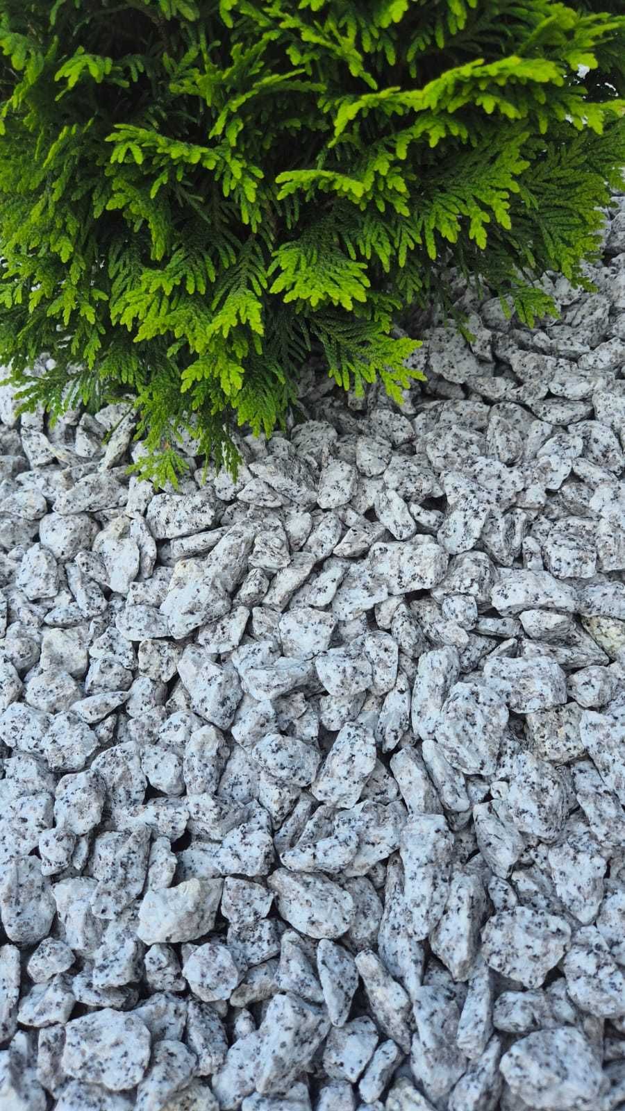 Grys Granitowy Jasny Dalmatyńczyk Kruszywa Ogród