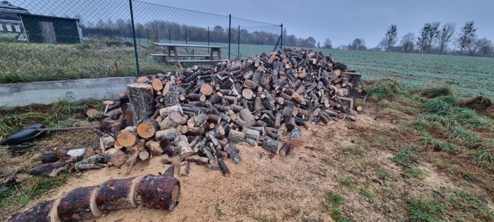 Sprzedam drzewo pocięte (Transport)Świeżo pocięte