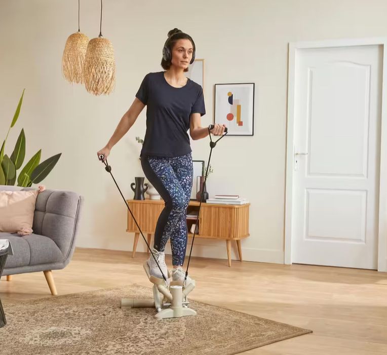 Mini Stepper MS500