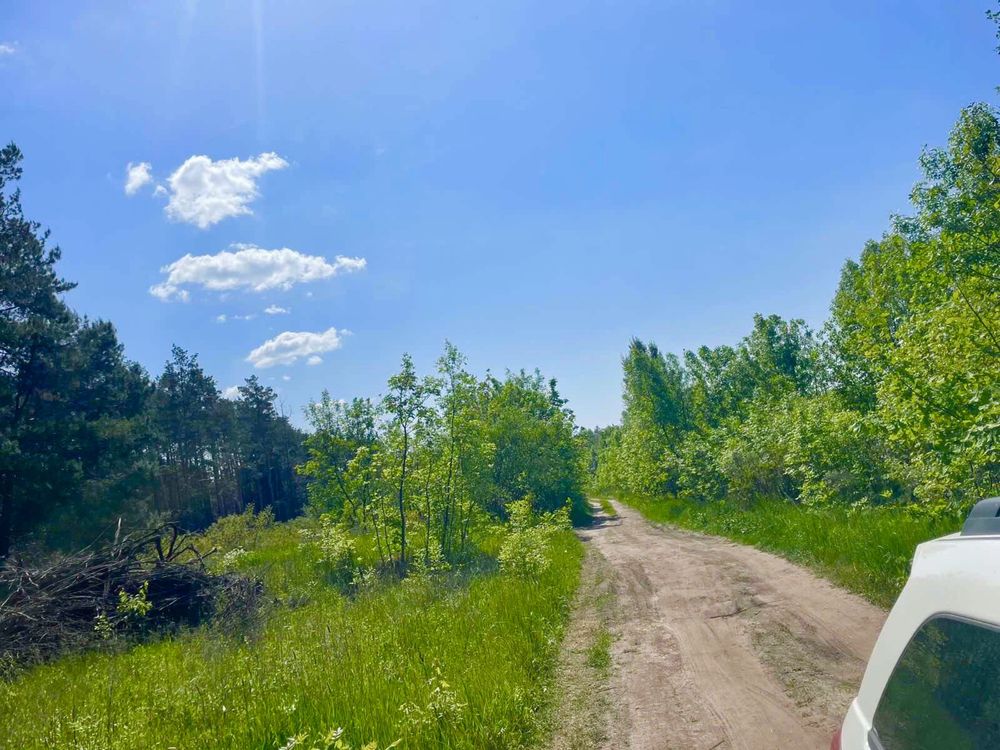 Ділянка 50 соток у лісі. Вишеньки, Осокорки, ліс Дніпро