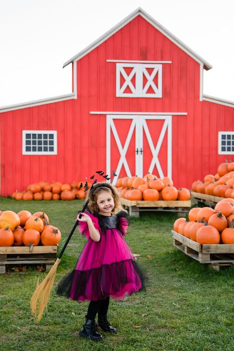 Сукня відьмочки 98 - 104 см 3 - 4 роки