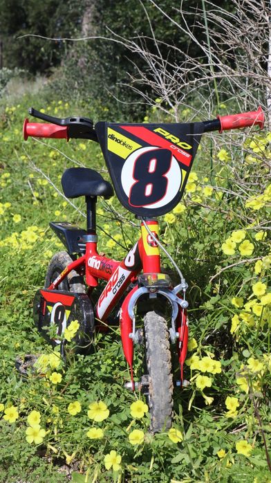 Bicicleta Infantil