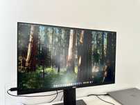 Monitor Dell P2421DC 24” QHD USB-C, PD 65W
