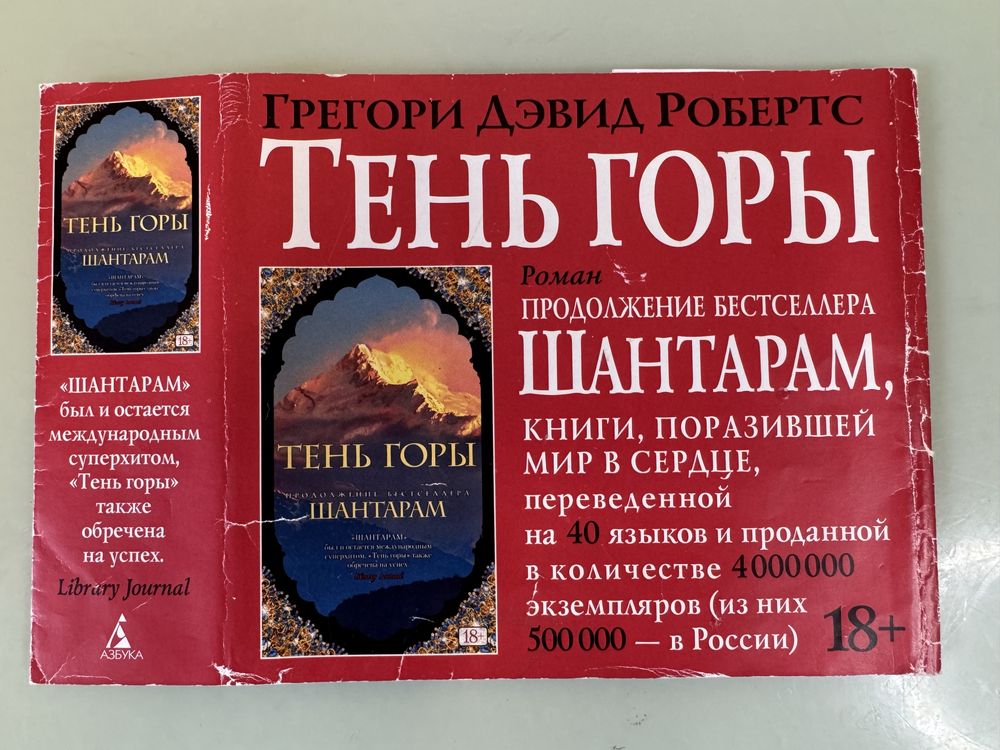 Книга «Тень горы» Грегорі Девід Робертс