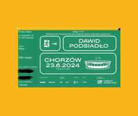 Bilet na koncert Dawida Podsiadło Chorzów