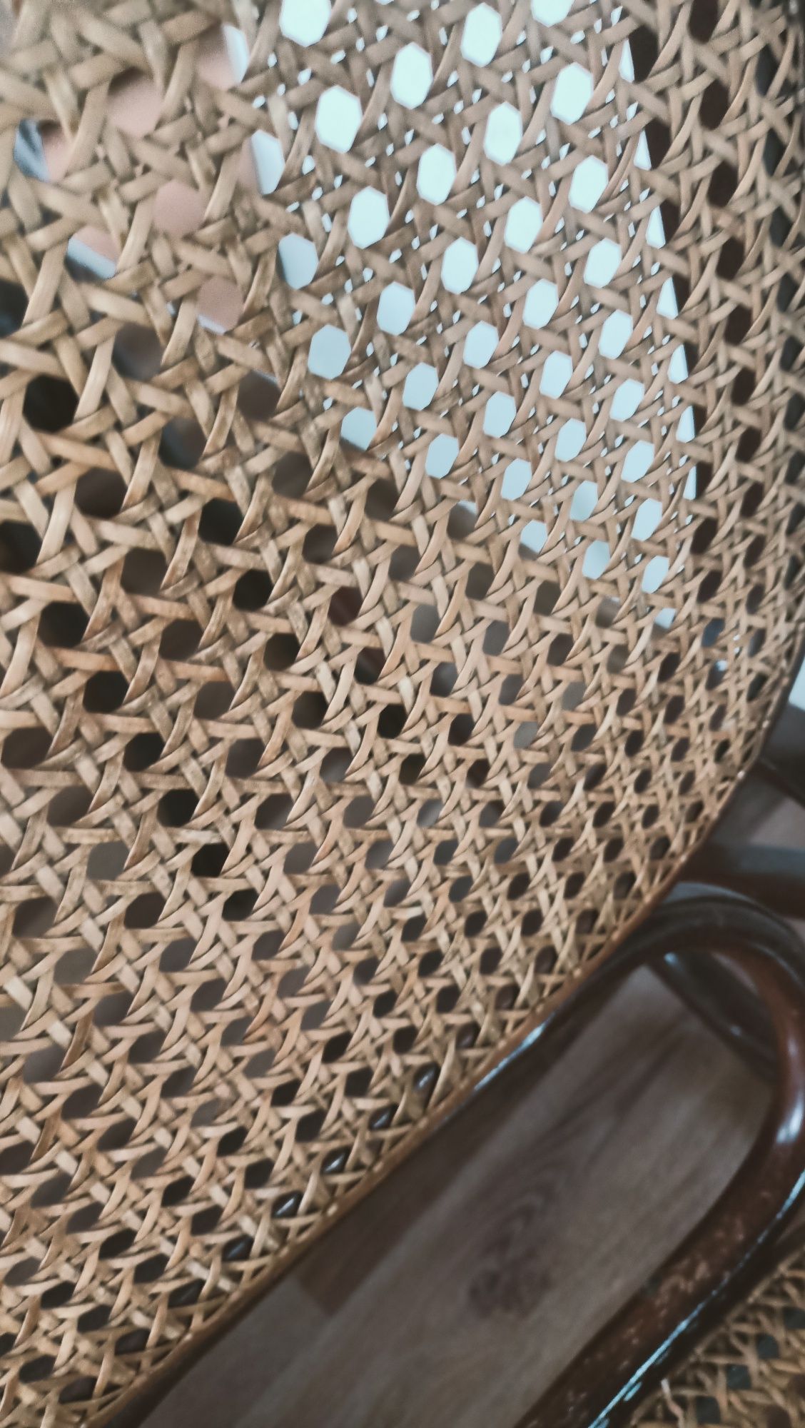 Bujak rattan PRL