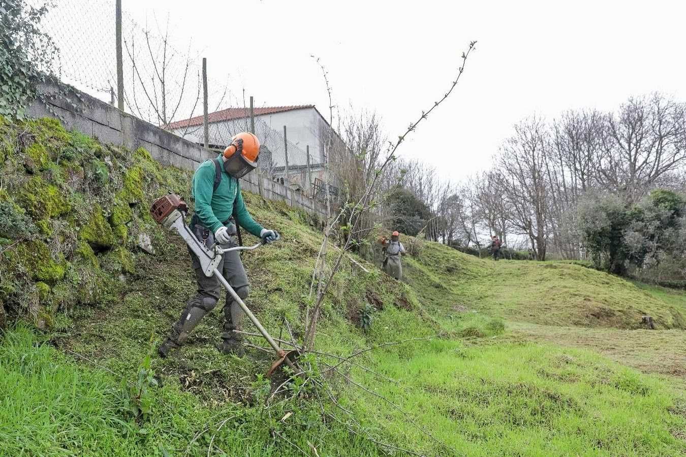 Podas, Jardinagem e Limpeza de Terrenos