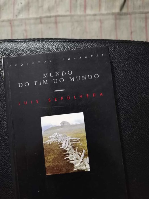 Conjunto de livros para destralhar