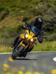 Triumph Tiger 1050 - Troco por Scooter ou mota menor
