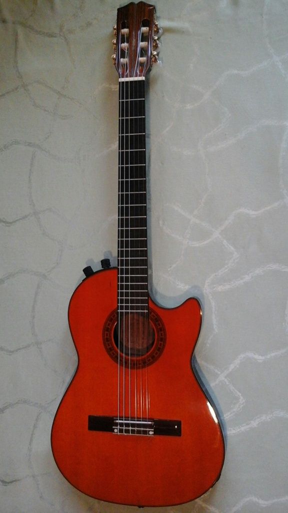 Elektroklasyczna.Hohner PROFESSIONAL TWP.jak.Gibson.Chet Atkins