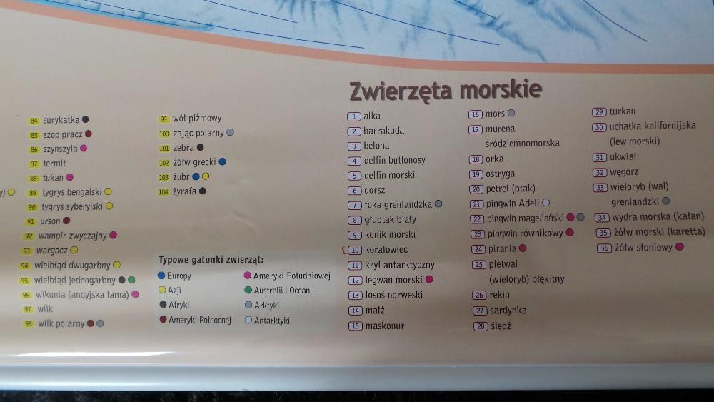 POLSKA NIEZWYKŁA, ŚWIAT niezwykły Mapa Ścienna dla DZIECI 7-14l DEMART