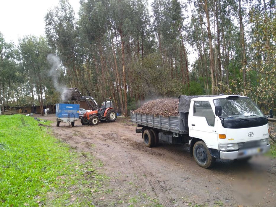 Terra preta, estrume Cavalo ou bovino, fertilizante natural orgânico.