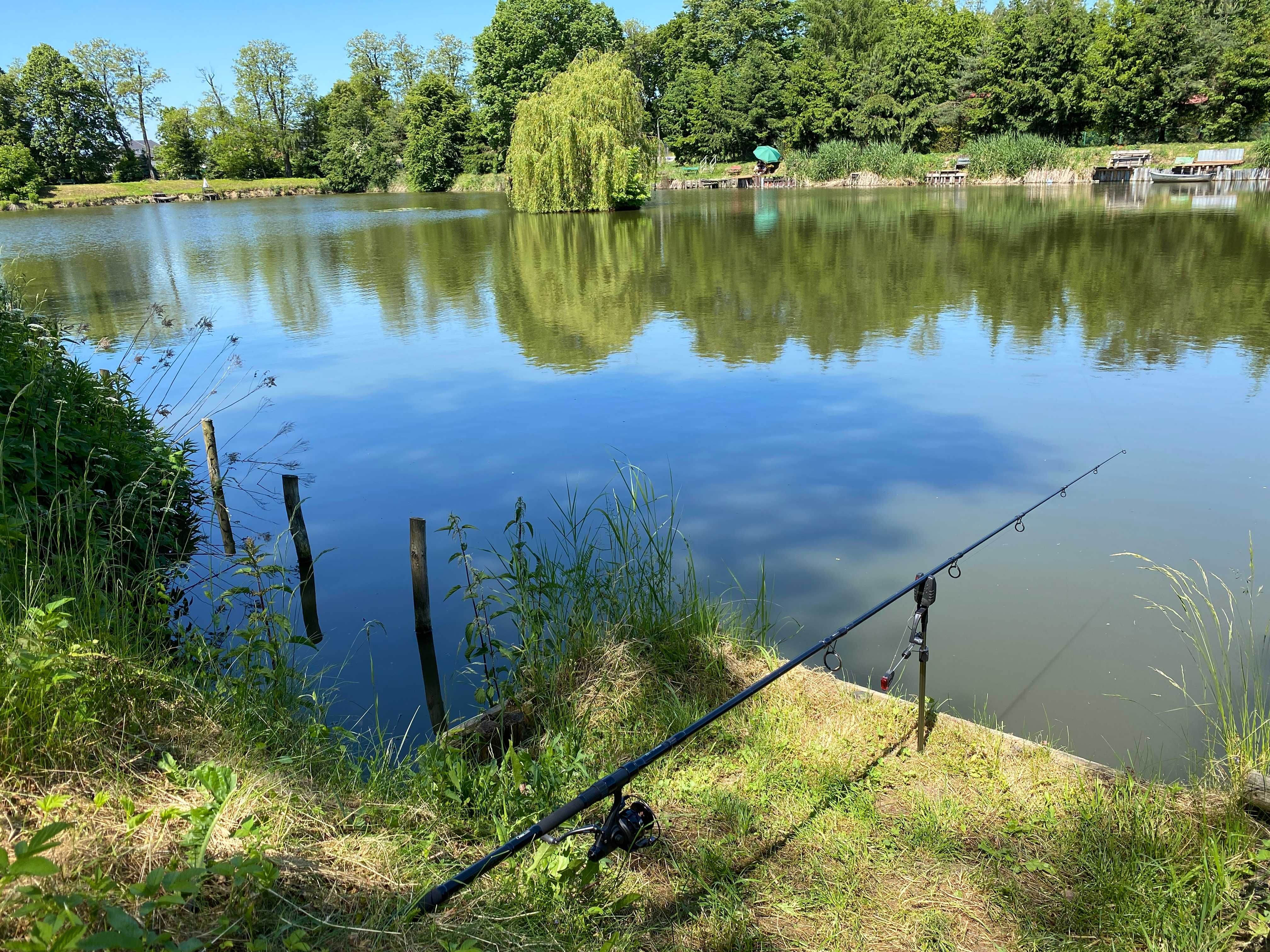 Działka rekreacyjna ROD Tropiszów + staw rybny