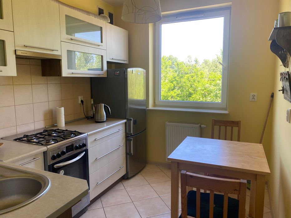 Przytulne mieszkanie do wynajęcia od grudnia!