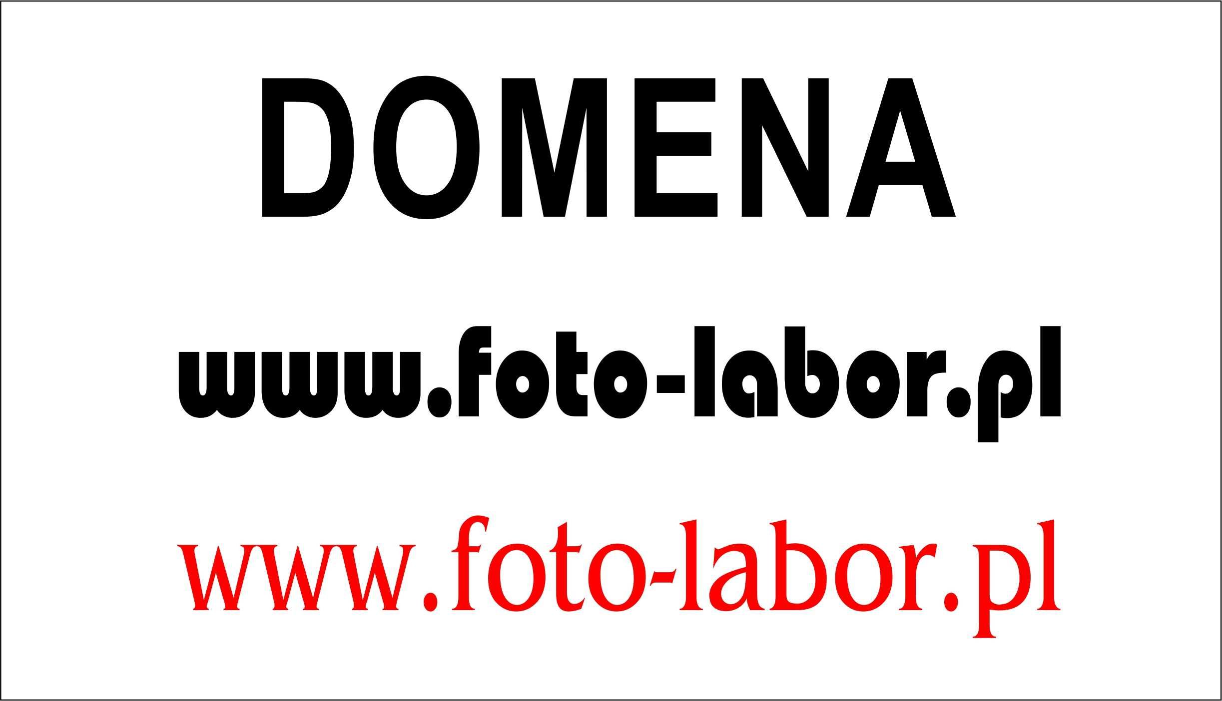 DOMENA foto-labor.pl  DOMENA na SPRZEDAŻ  pisać SMS