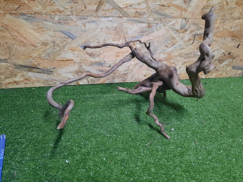 Korzeń do akwarium Red Moore Wood nr 887 o wymiarach 34/36/37