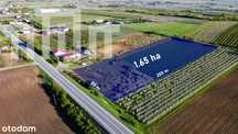 Duża działka rolna | 1.6 ha | Mpzp