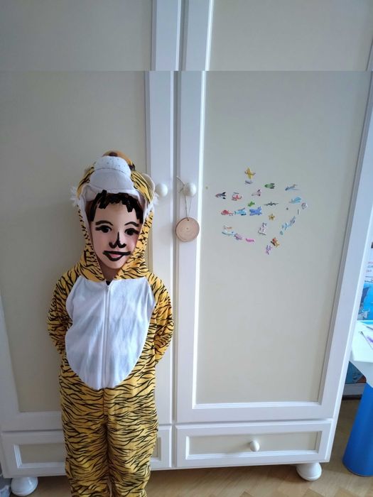 Strój tygryska, stan BDB, r. 116