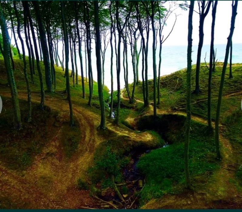 Domek nad morzem w Poddąbiu