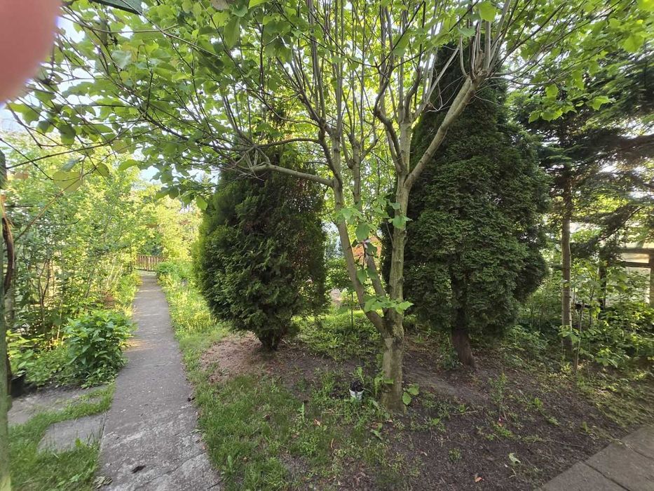 Sprzedam działkę rekreacyjną w ROD