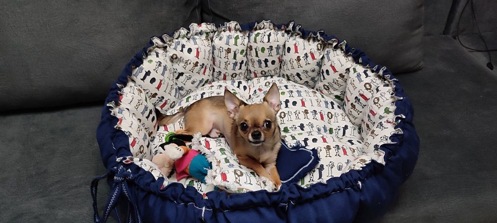 Зручна велика лежанка для котів або маленьких собак