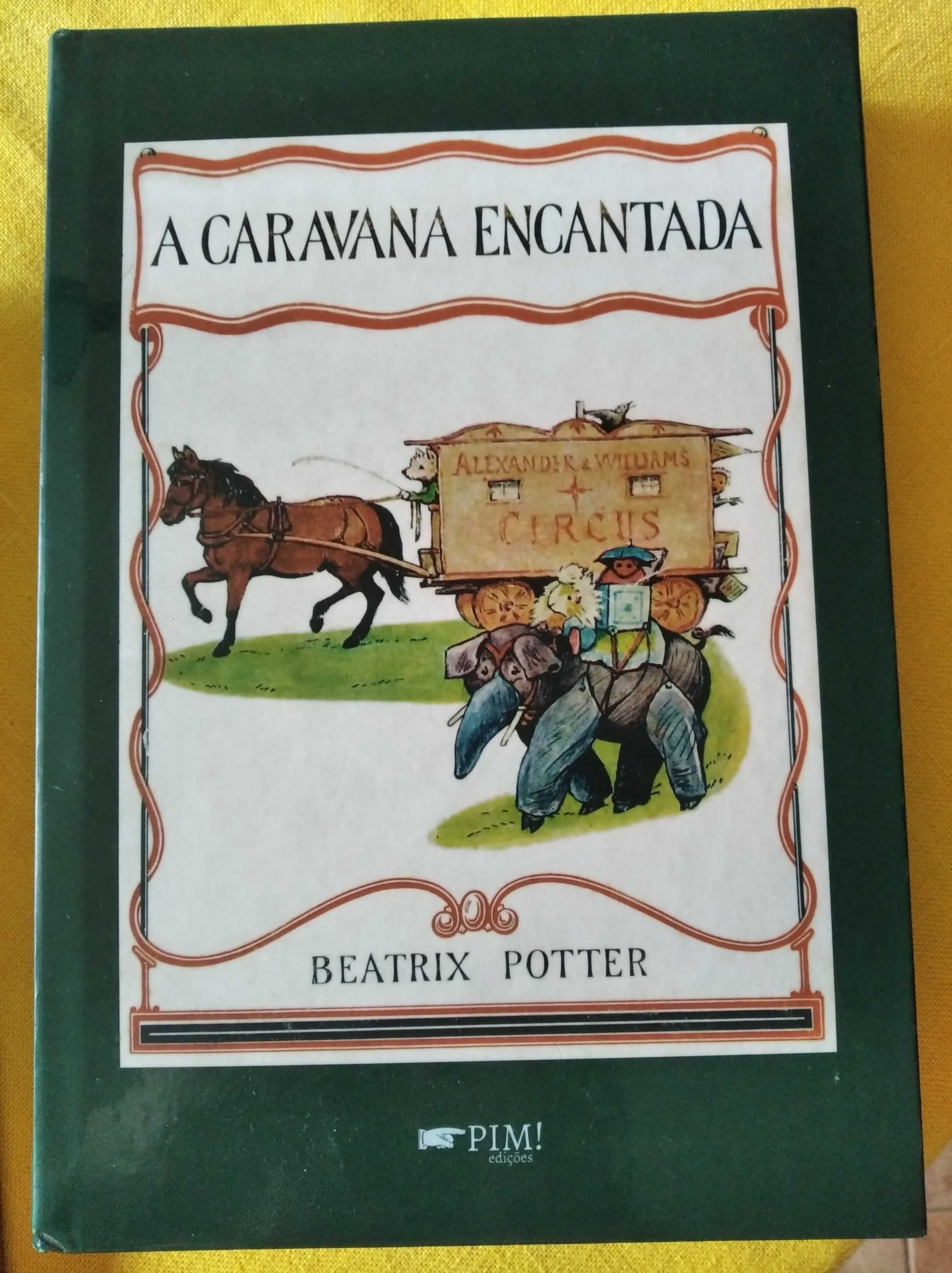 Livro "A caravana encantada"