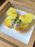 Klipsy Bijou Brigitte