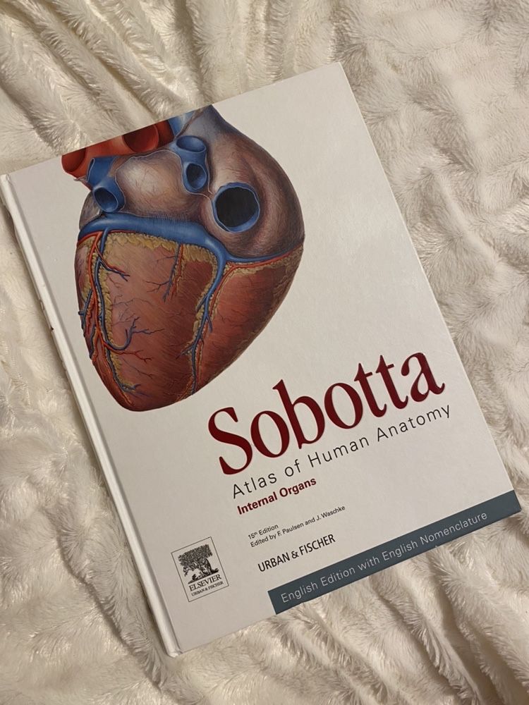 Sobotta atlas anatomiczny narzady wewnetrzne angielski