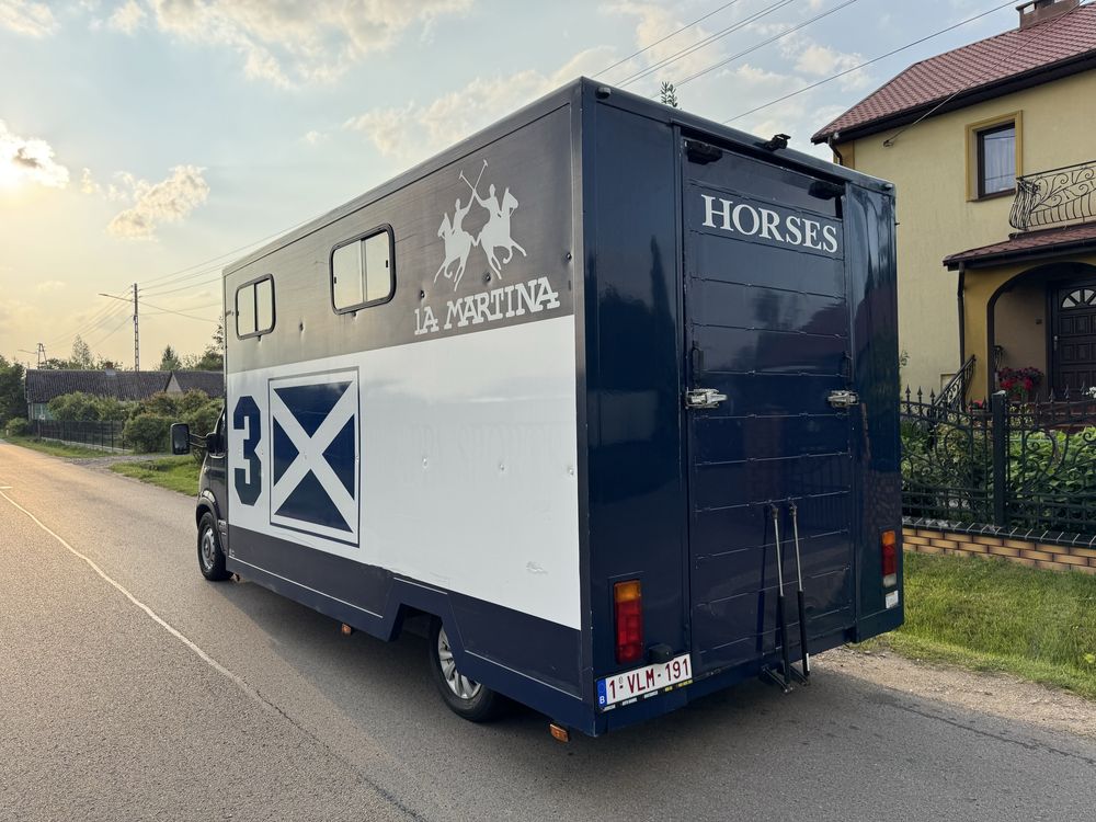 Renault Master 2.5 dCi 120KM Koniowóz do przewozu zwierząt Ducato Mova