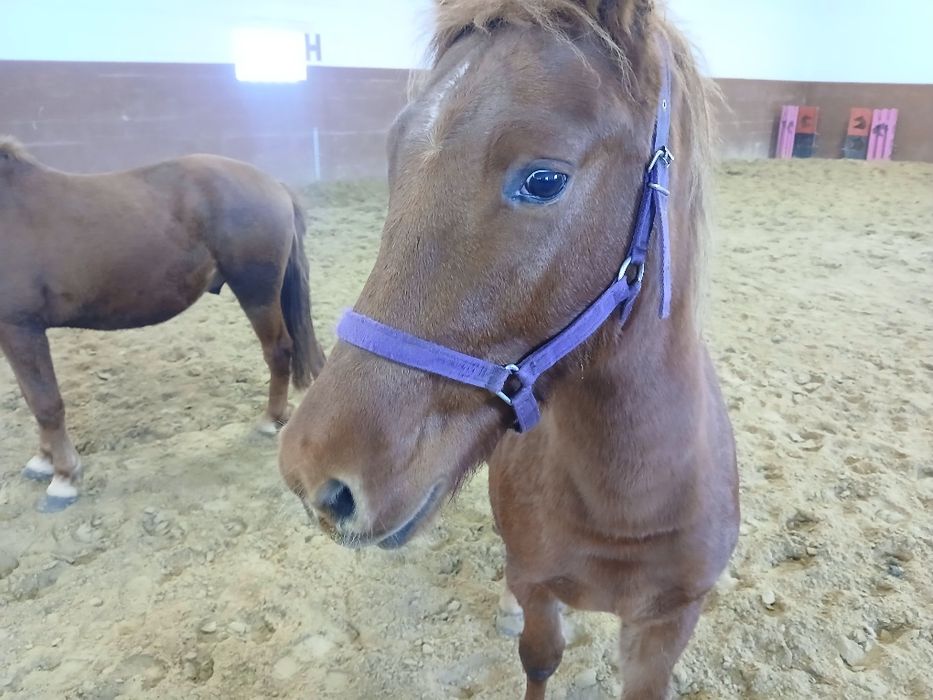 Wałaszek z 25.02.2024r