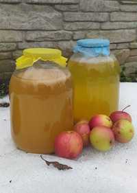 Яблочный уксус домашний оцет