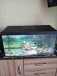 Sprzedam akwarium 40l.