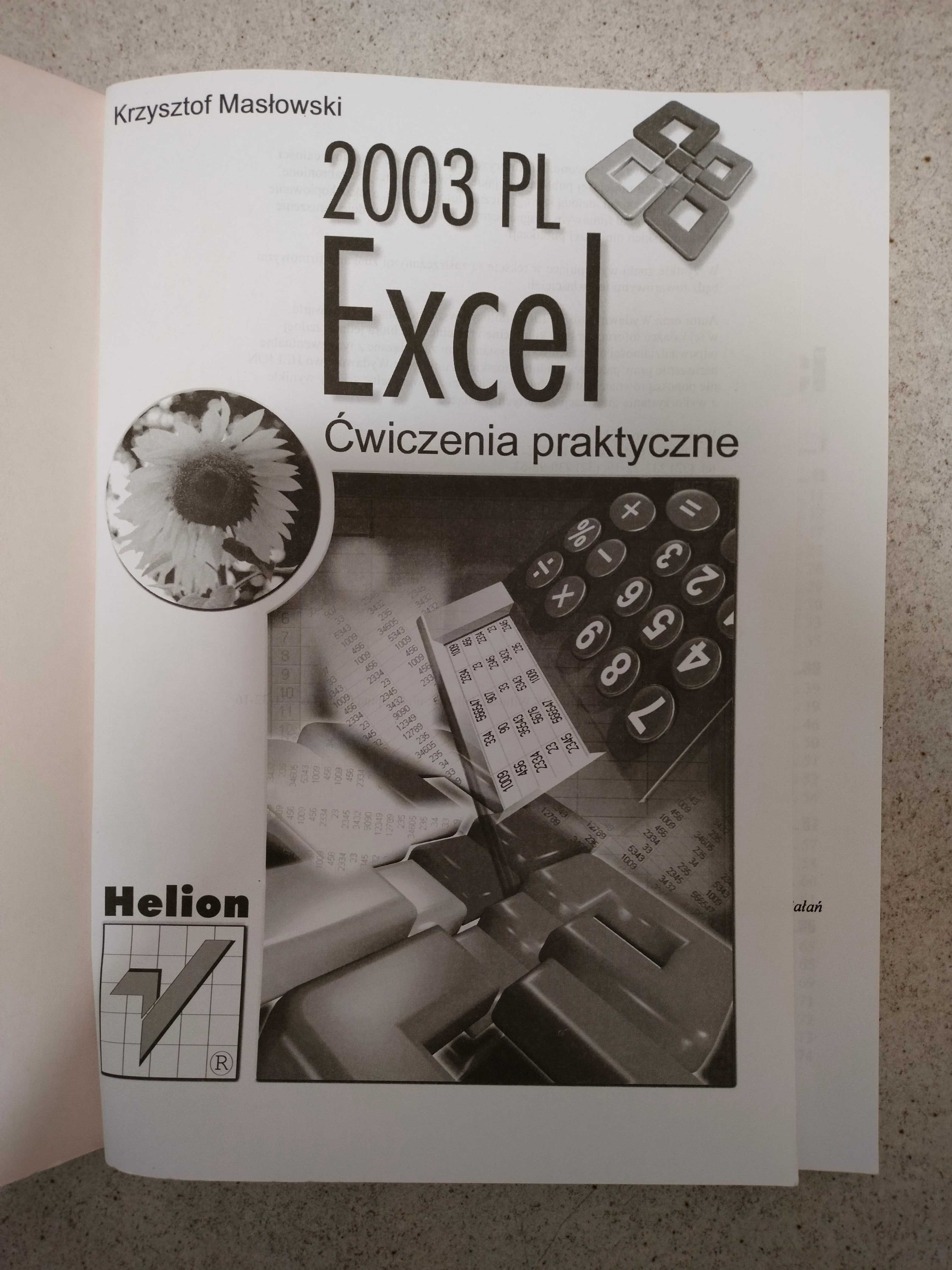 Excel 2003 PL. Ćwiczenia praktyczne - Krzysztof Masłowski