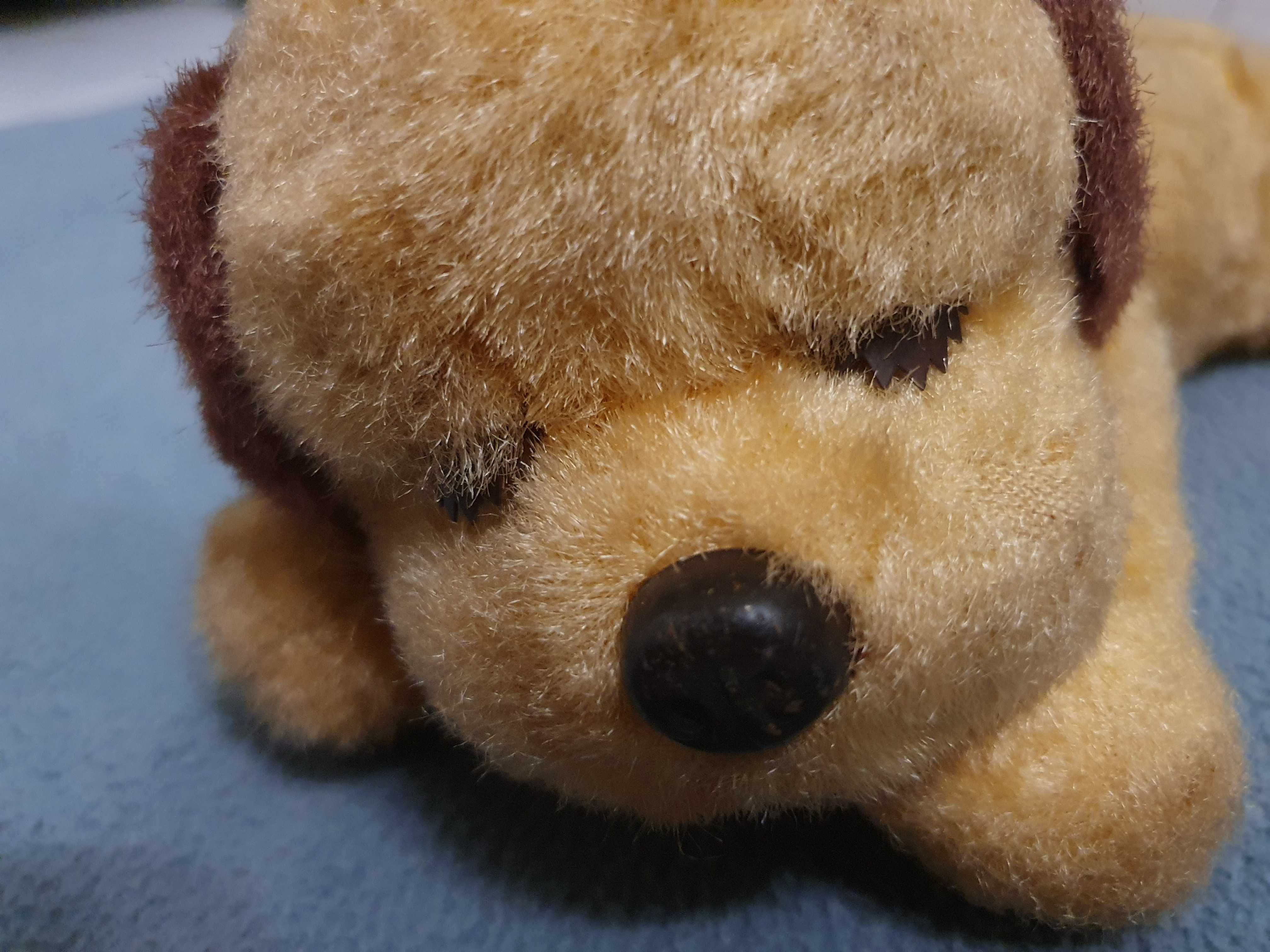 RVT IWAYA - Cão com Abelha Anos 60 - Japan