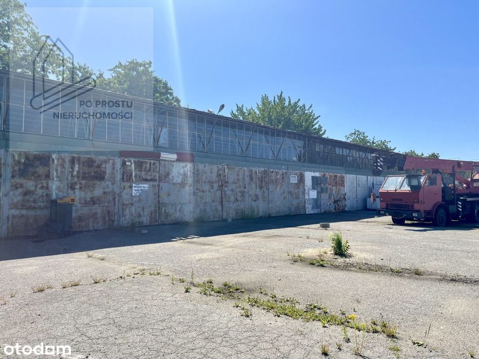 Plac utwardzony 400-8000m + hala magazynowa, biura