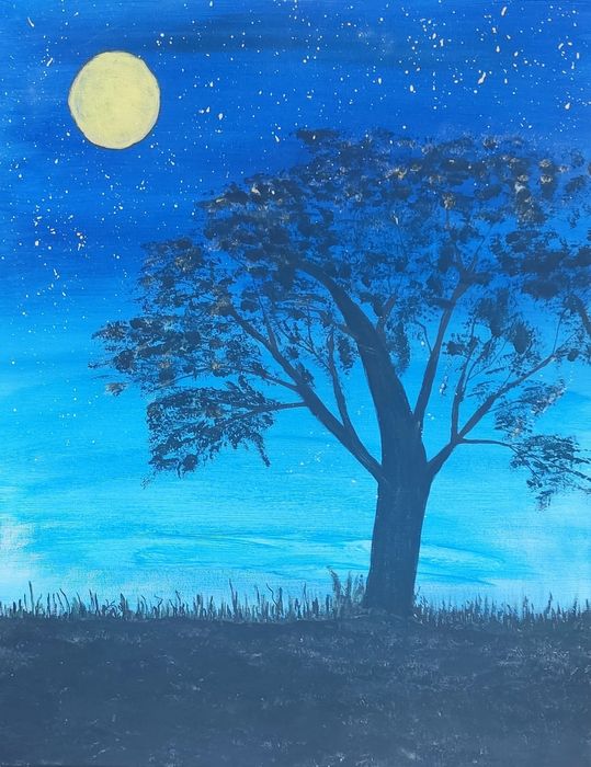 Obrazy akrylowe  wym. 50 cm x 40 cm