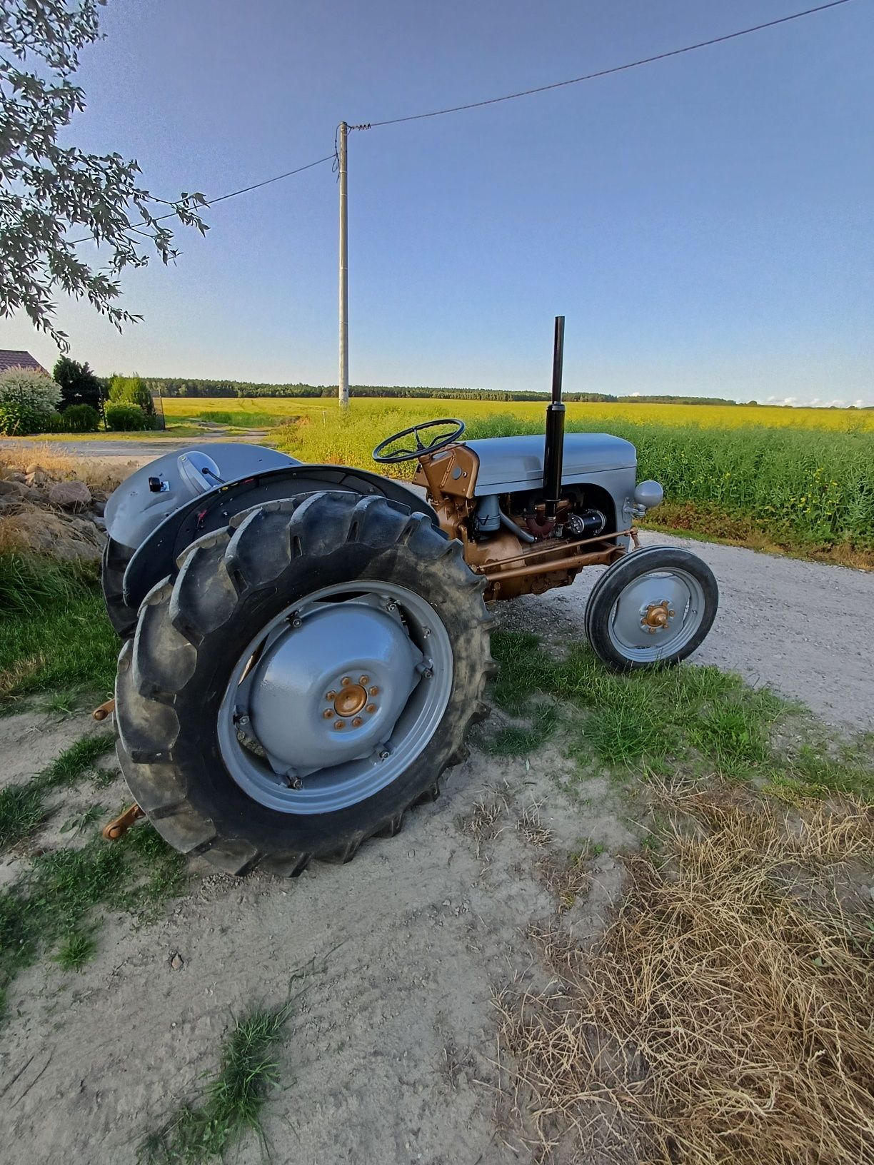 Massey ferguson TEA 20