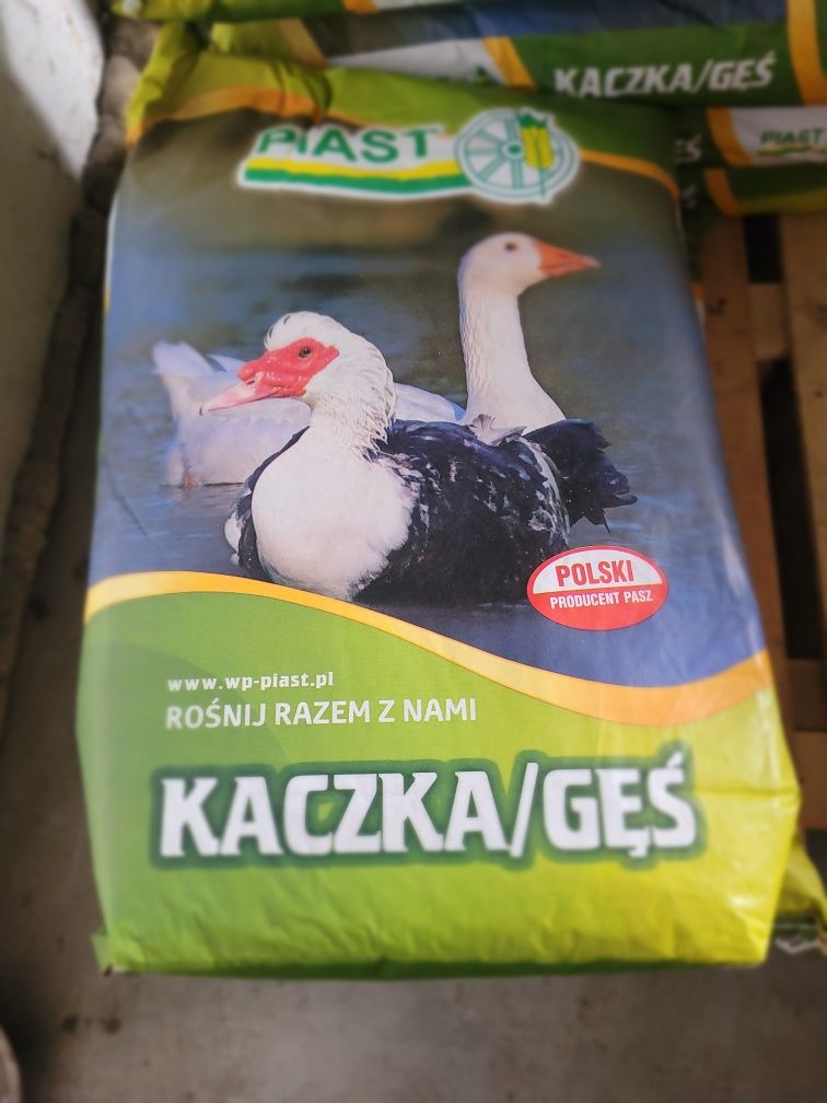 Pasza królik Piast