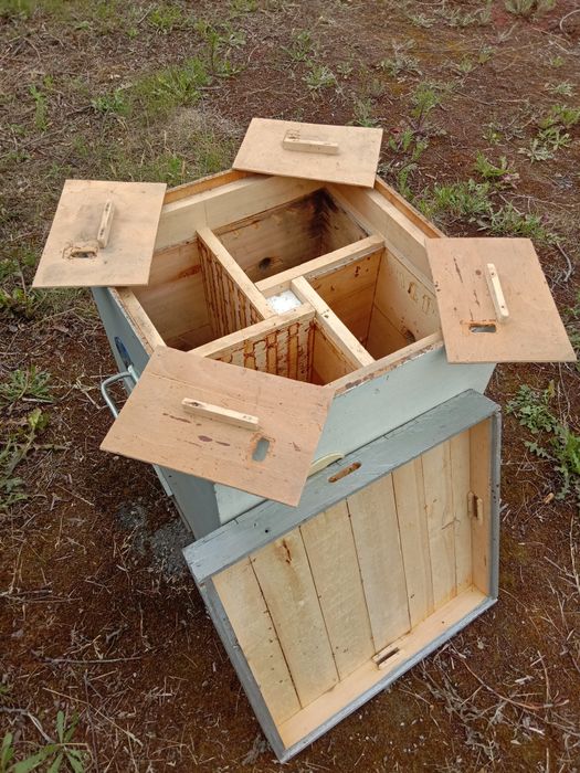 Вулик квадратний