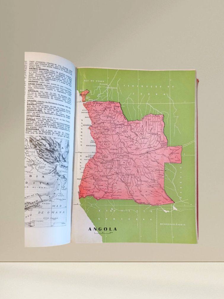 Dicionário Prático Ilustrado