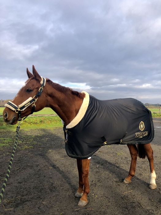 Derka Eskadron polarowa rozmiar 135