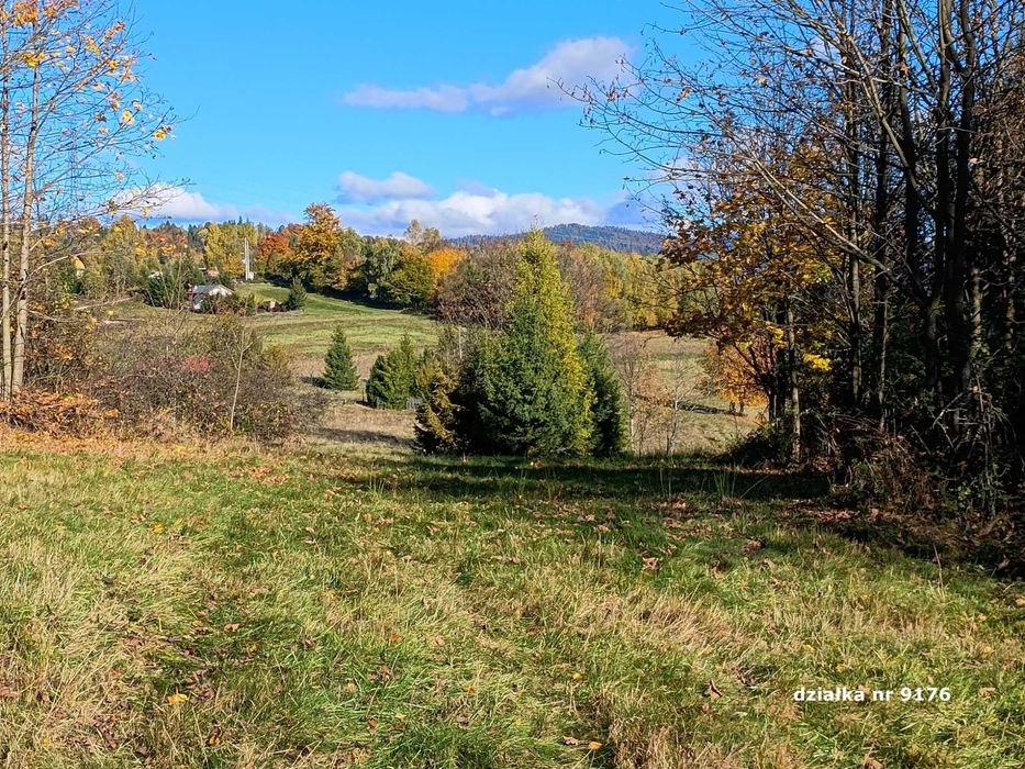 Działki rolne w górach – Sól, gm. Rajcza, powierzchnia łącznie 1 ha