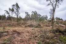 Terreno  para venda