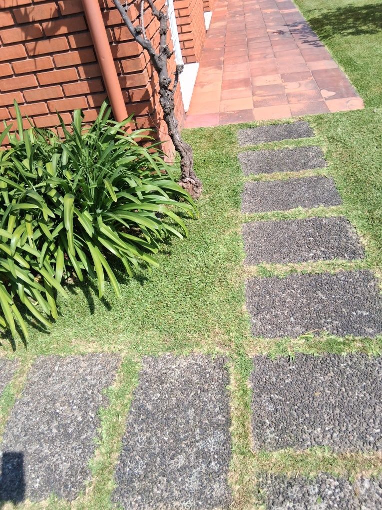 Jardineiro ao seu dispor