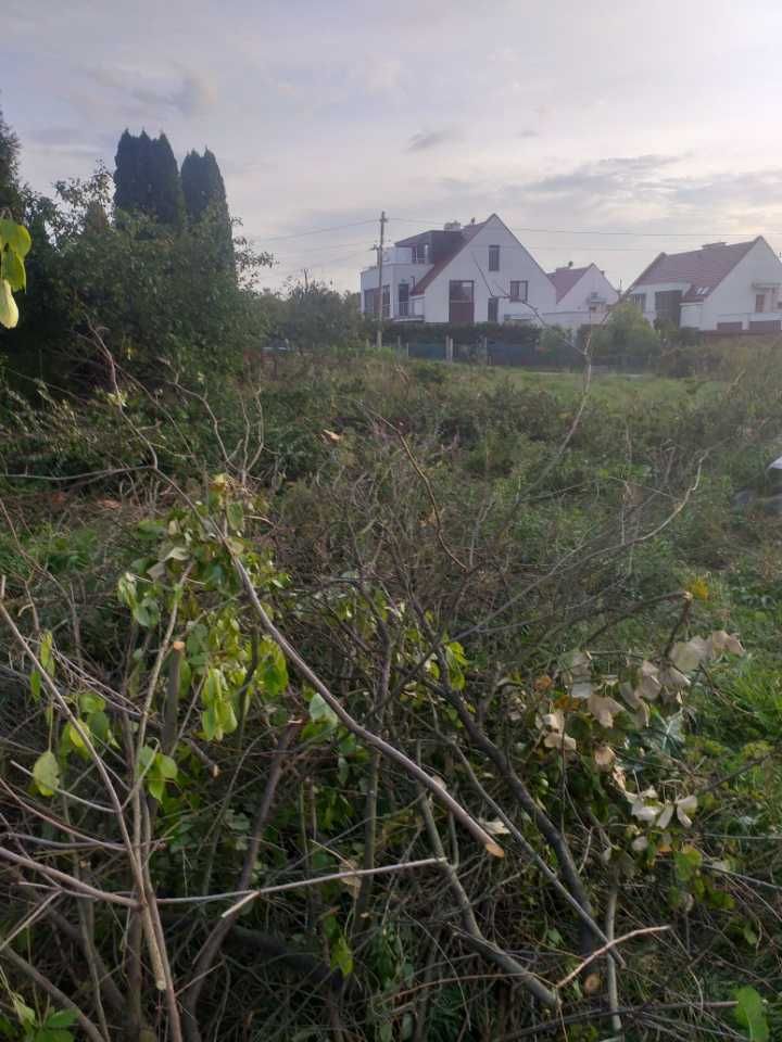 Uslugi ogrodnicze Wywóz galezi Nasadzenia drzew transport karczowanie