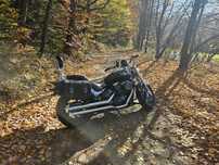 Suzuki Intruder Suzuki Maruder M800 Boulevard M50 INTRUDER